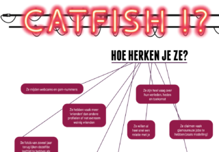 Hoe herken je catfish? Weerbaar Op het Web werkvormenbundel