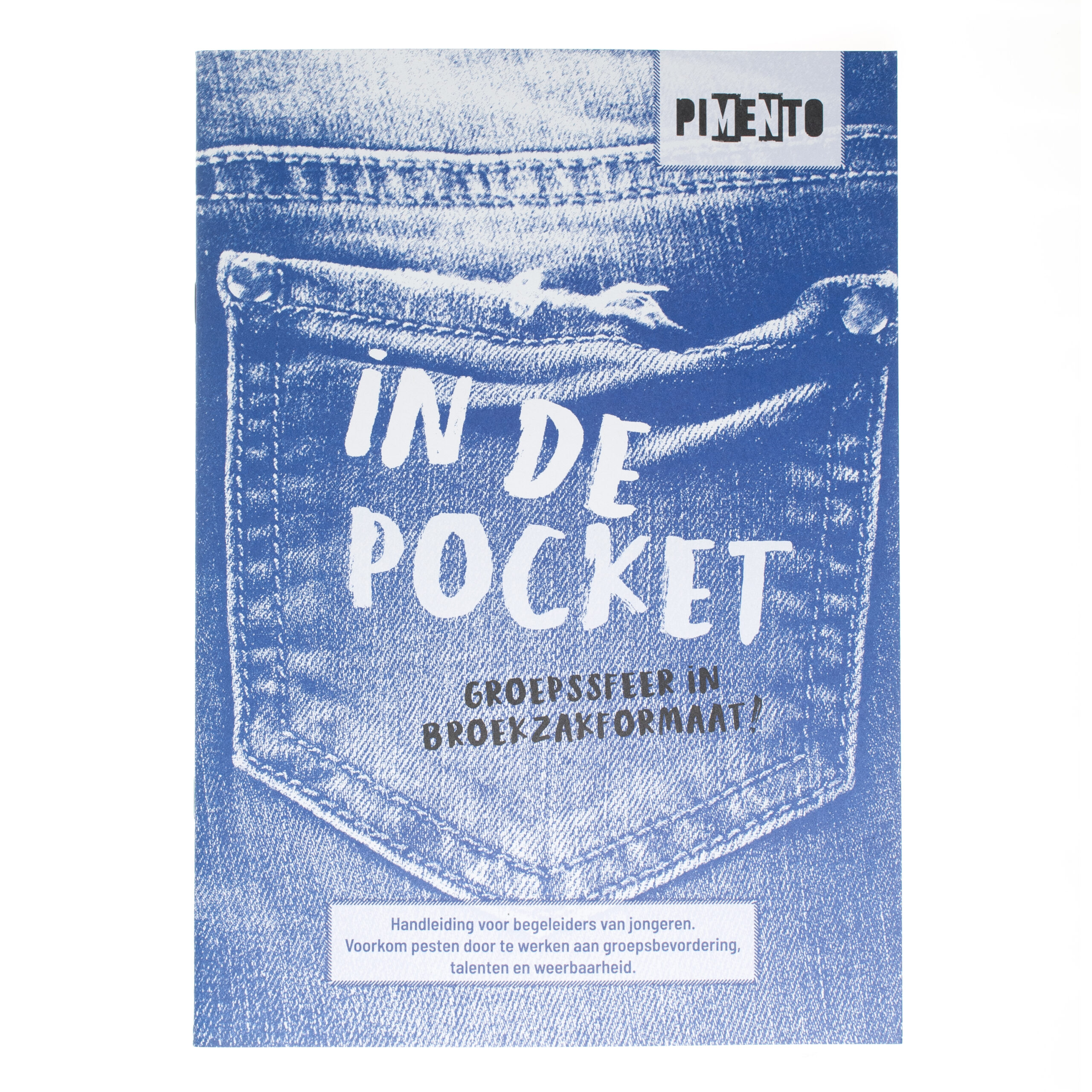 In de Pocket handleiding cover